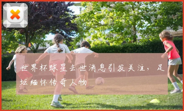世界杯球星去世消息引发关注，足坛缅怀传奇人物