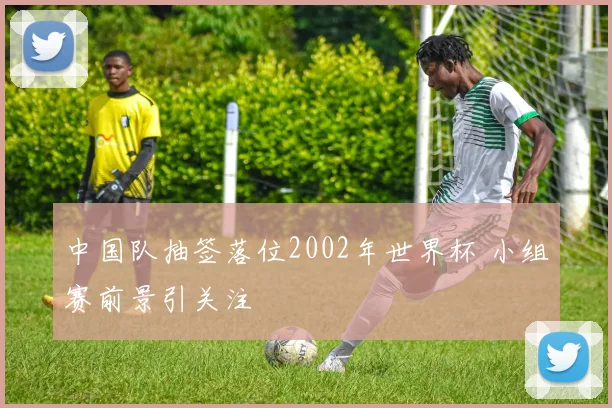 中国队抽签落位2002年世界杯 小组赛前景引关注