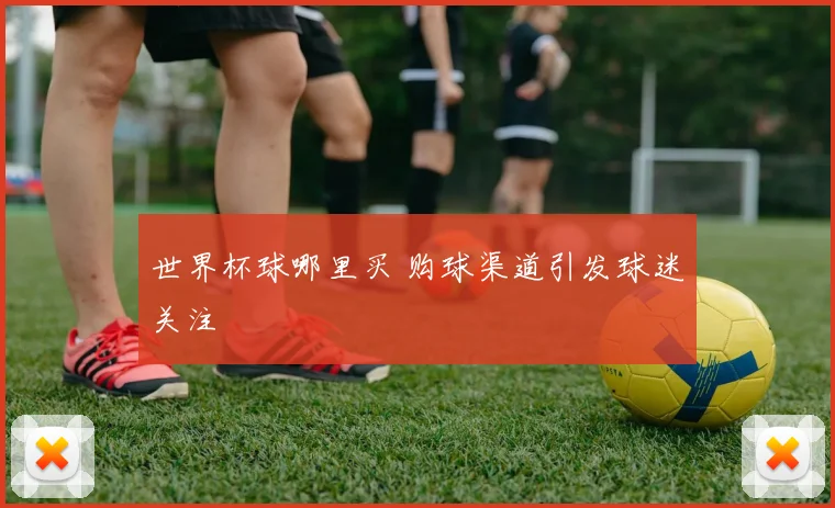 世界杯球哪里买 购球渠道引发球迷关注